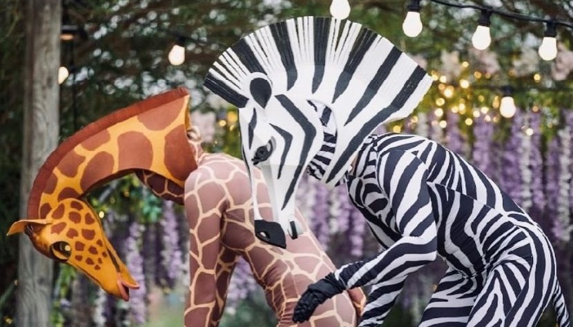 Marwell Zoo zebra and giraffe on stilts